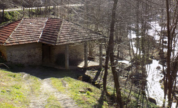 Дека (82) Бора из Лесковца веран једном од најстаријих заната: Воденица је музика за уши